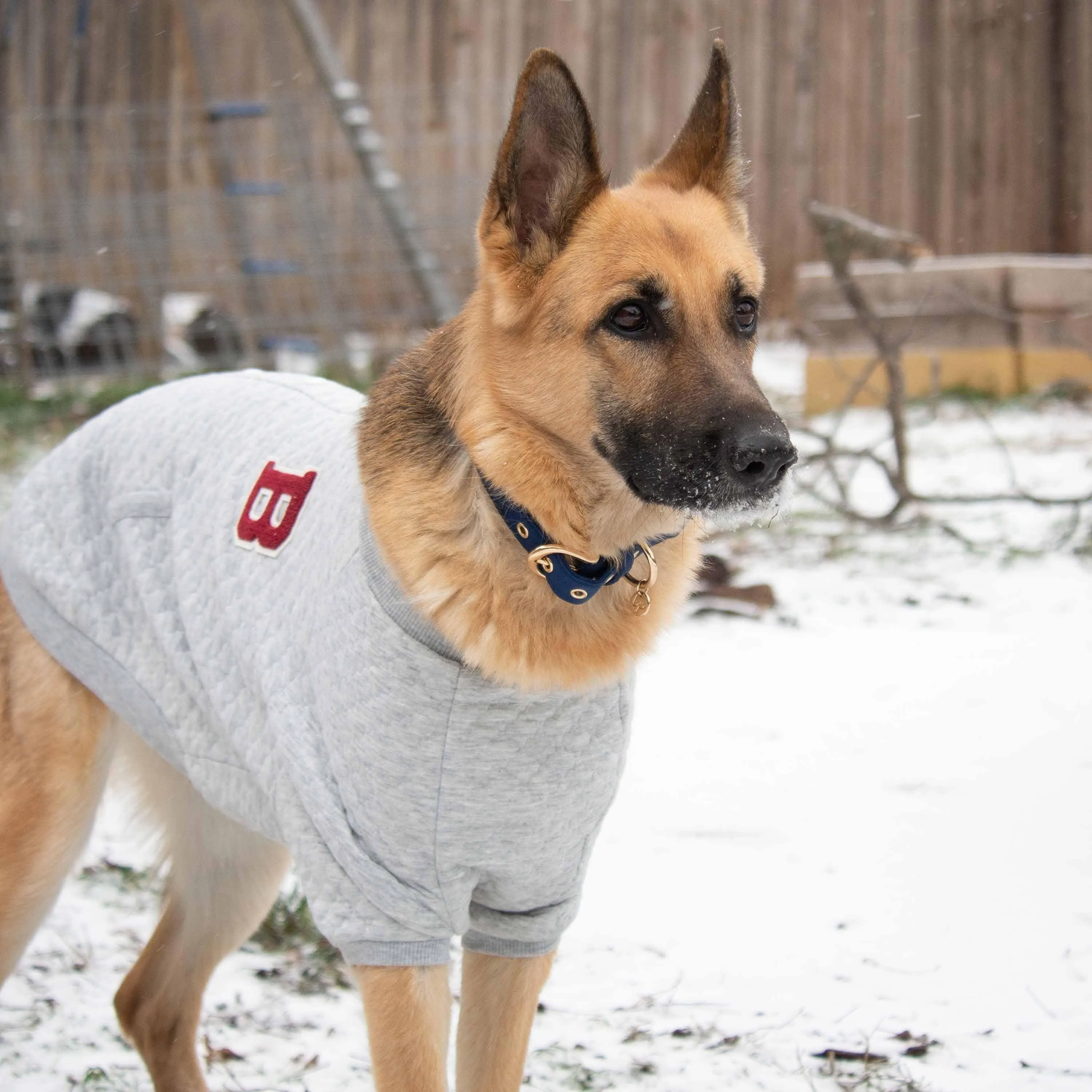 Baseball Fans Jacquard Dog Sweatshirt