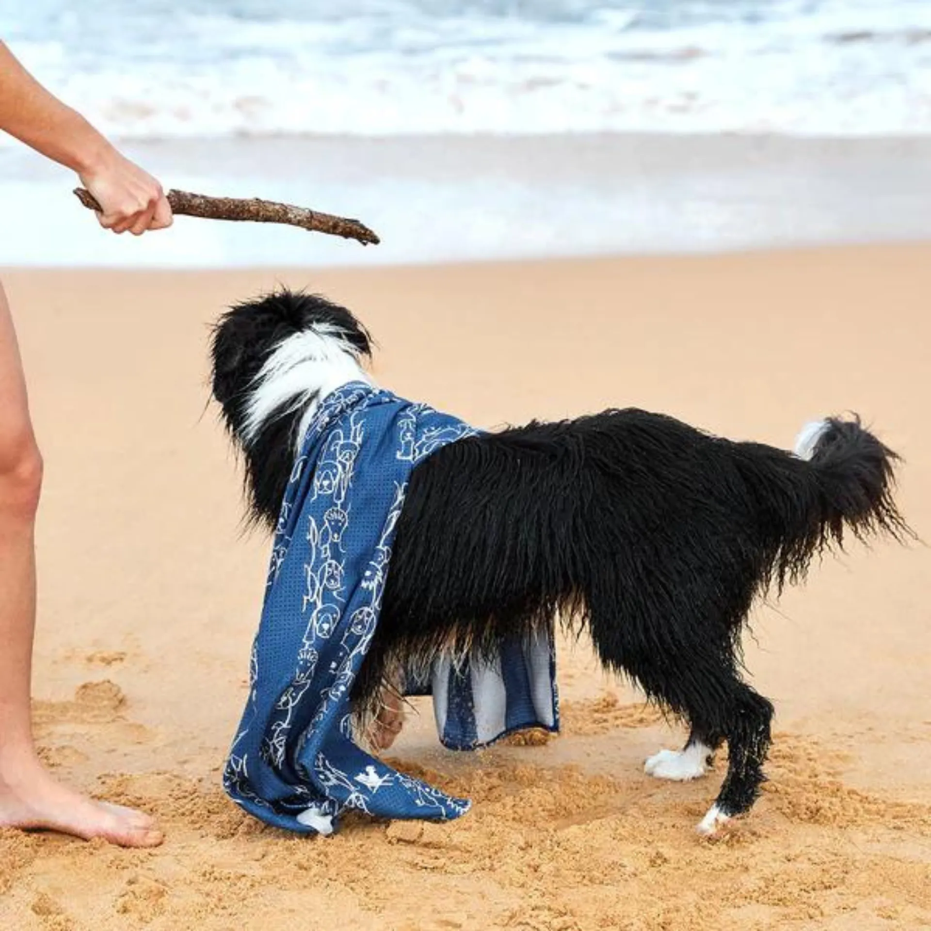 Dog Towel Large - Puppy Party