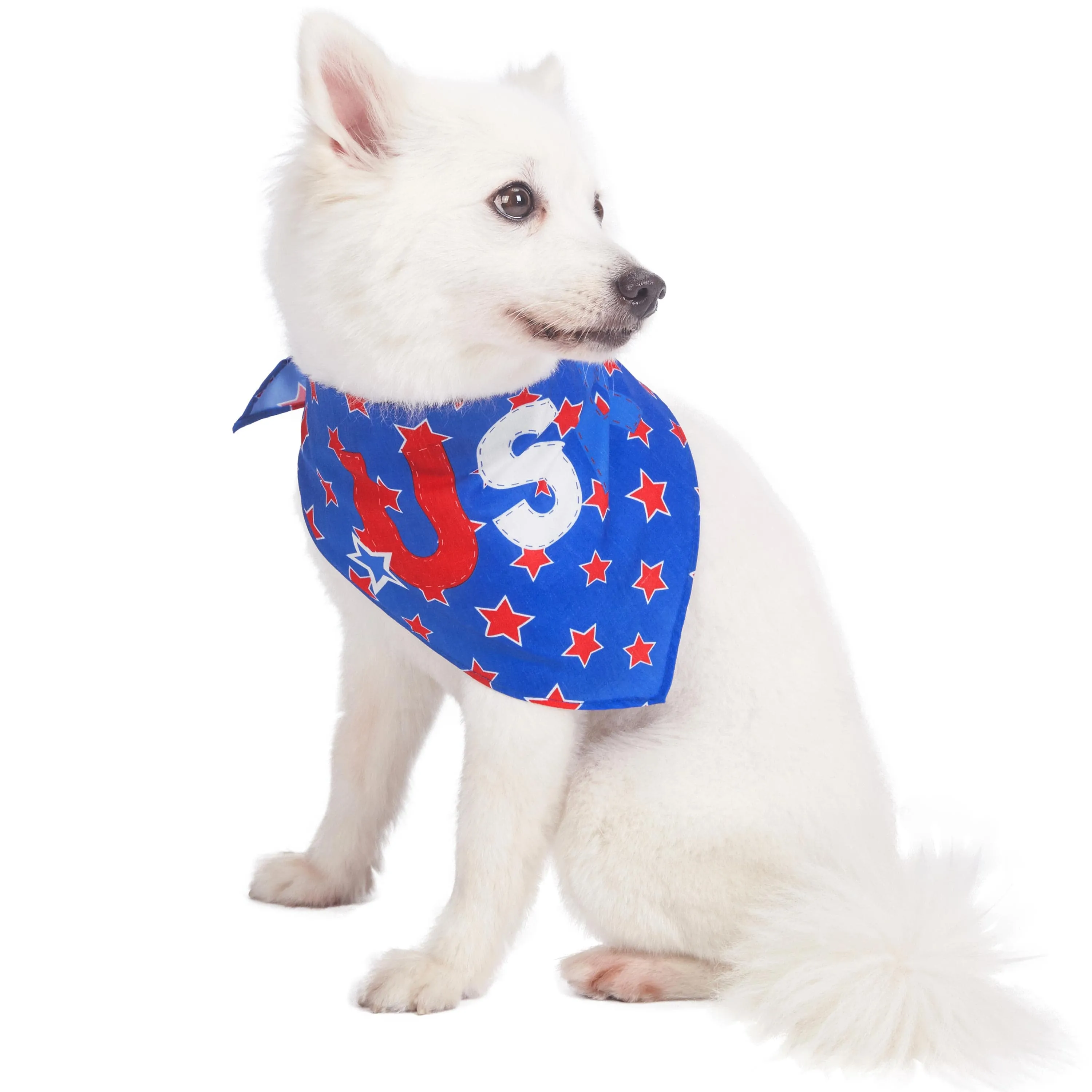 Patriotic 'USA' Designer Dog Bandana