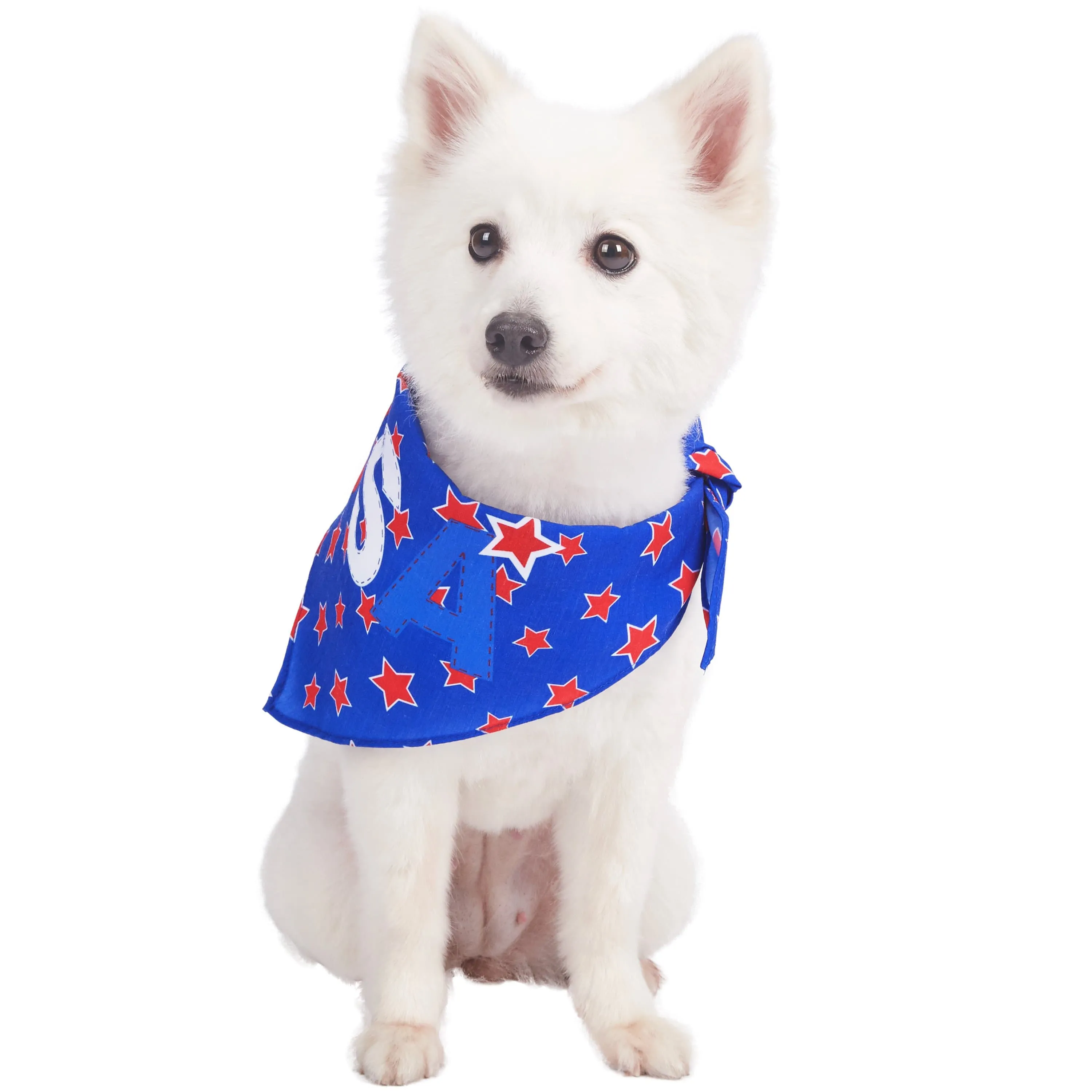 Patriotic 'USA' Designer Dog Bandana