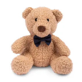 Teddy Plush Toy